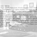 Comp. Antibes RTF 63