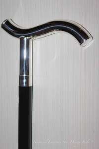 walking sticks roma